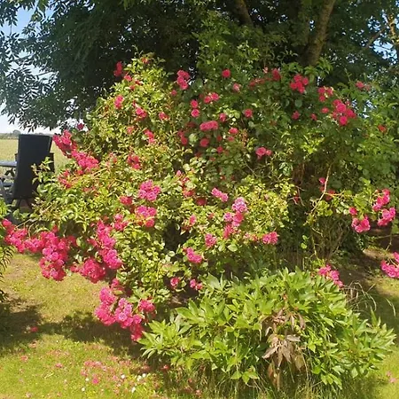 Ostseeferien In Lichtenhagen-dorf 아파트 *